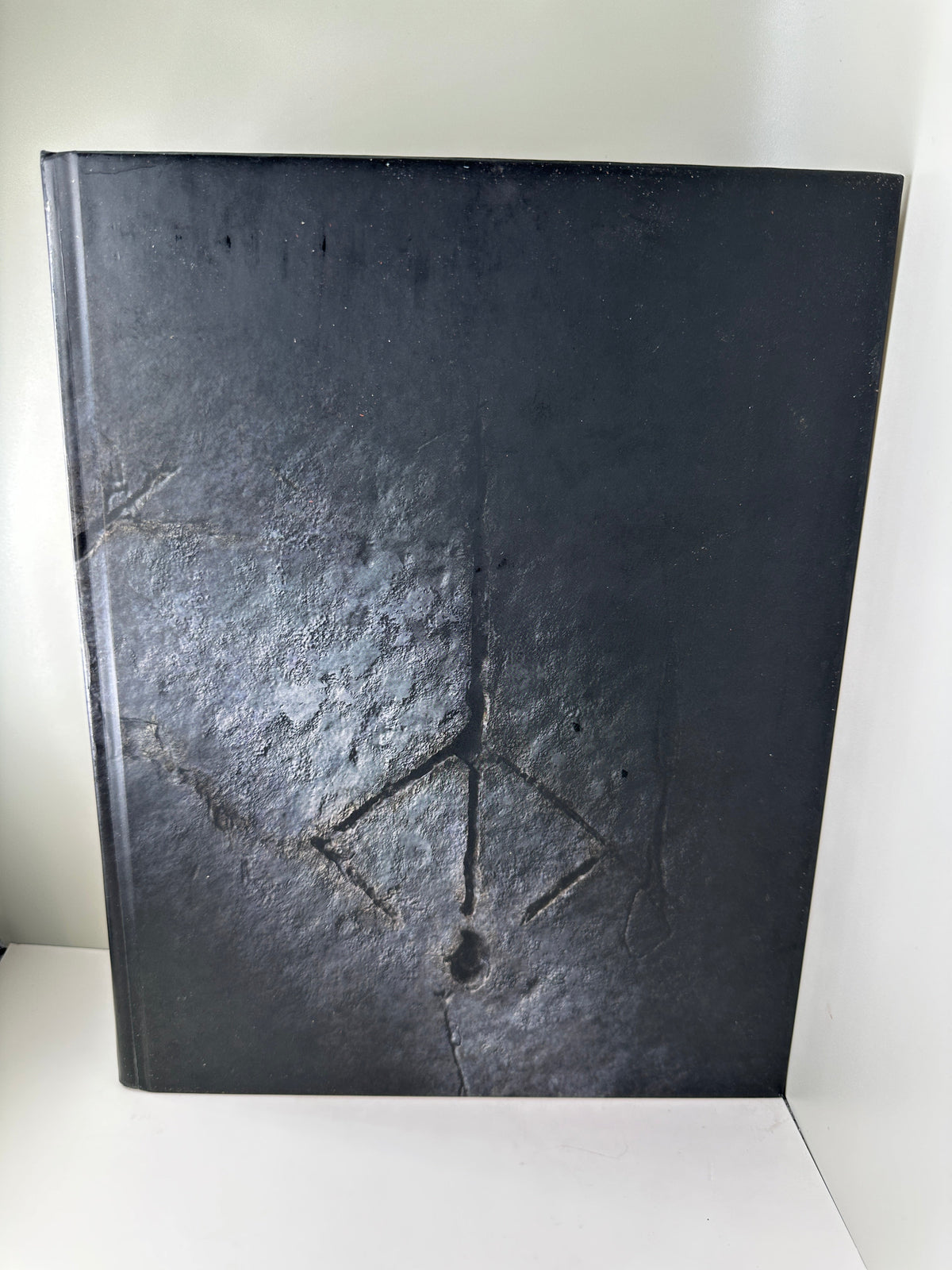 Bloodborne - Collector's Edition Guide, Not Sealed (Future Press)
